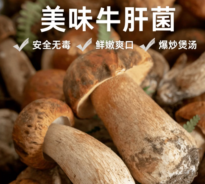 牛肝菌 云南野生美味牛肝菌 505g 优选级