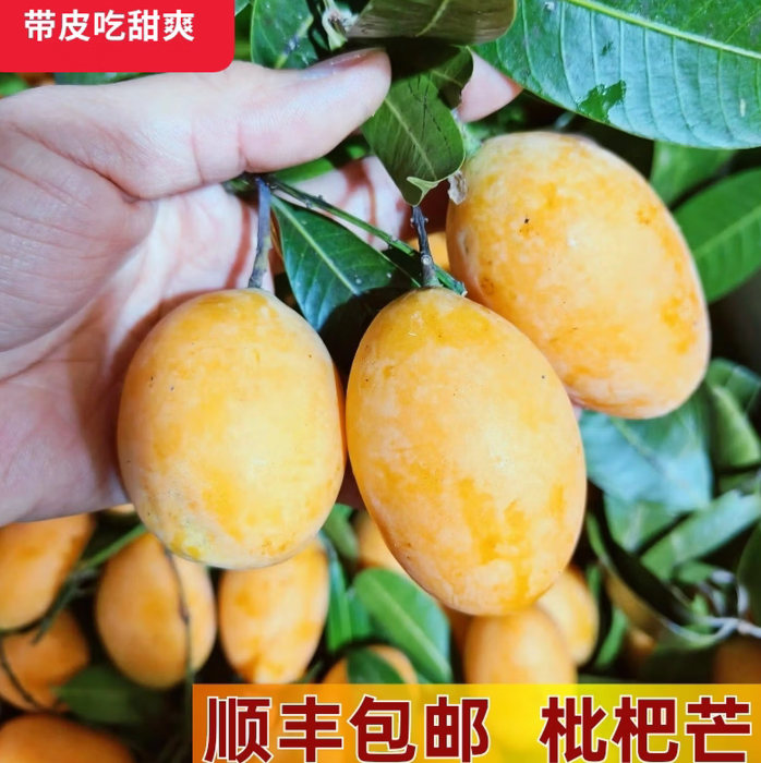 枇杷芒果小鸡蛋芒琵琶芒脆皮美女云南版纳泰国罕见甜带皮吃 3斤 顺丰
