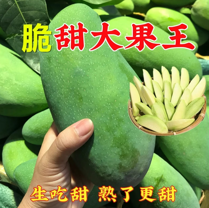 脆甜云南大青芒生吃芒新鲜农家生熟两吃水果版纳泰国热带应季 甜的当天摘当天发+冰 都只发大果 7斤