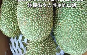 热带果干零食加盟